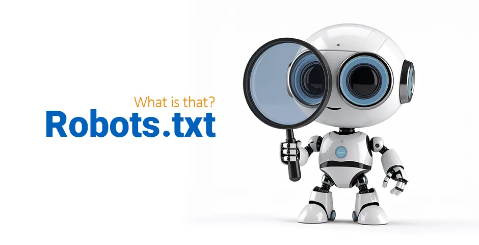 What is a Robots.txt File?